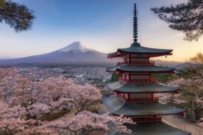 日本特有の木の文化と建築の歴史