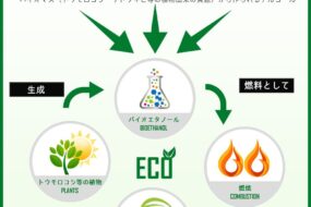 あなぶきが取り組むバイオエナジー事業　バイオマス燃料とは？