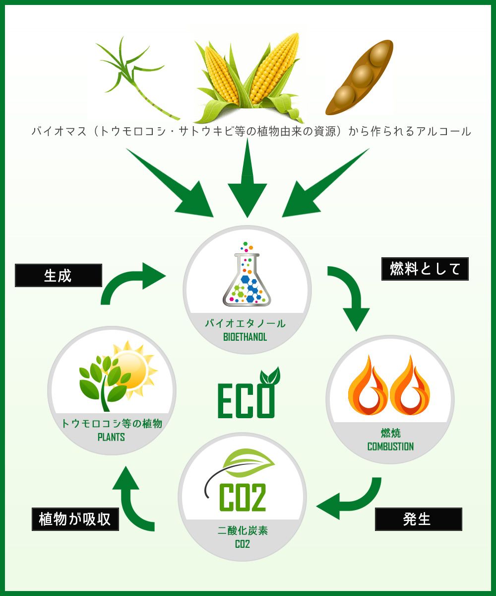 あなぶきが取り組むバイオエナジー事業　バイオマス燃料とは？