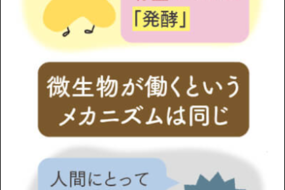 あなぶきが取り組むバイオエナジー事業　発酵との関係？