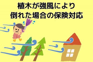 マンションの植木が強風により倒れてしまった場合の保険対応について