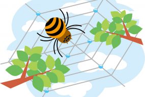 年3回実施｜マンションの意外と重要『秋』の害虫対策