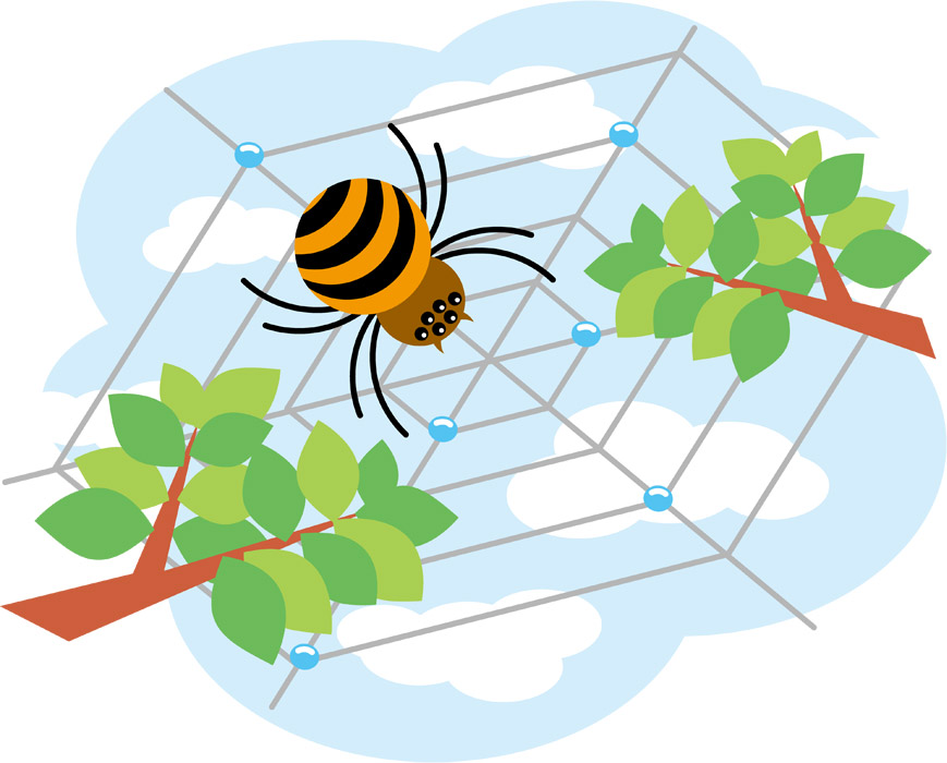 年3回実施｜マンションの意外と重要『秋』の害虫対策