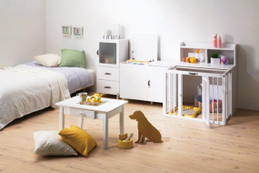 マンションでペットを飼う時に注意するべき5つのこと