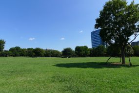 リノベーションマンションはお得なの？？大手町・日本橋にアクセス便利な場所で購入希望の方必見です。