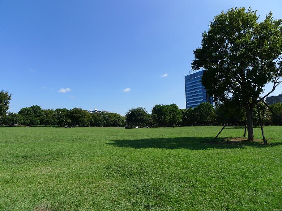 リノベーションマンションはお得なの??大手町・日本橋にアクセス便利な場所で購入希望の方必見です。 リノベーションマンションはお得なの??大手町・日本橋にアクセス便利な場所で購入希望の方必見です。