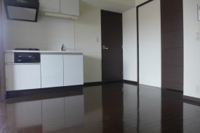 単身用の賃貸マンション（1K・1DK・1LDK）で二人暮らしできるの？