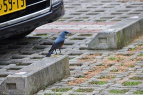 マンション管理会社変更で組合運営が改善した成功事例　　～駐車場の空き区画・機械式駐車場修繕問題～