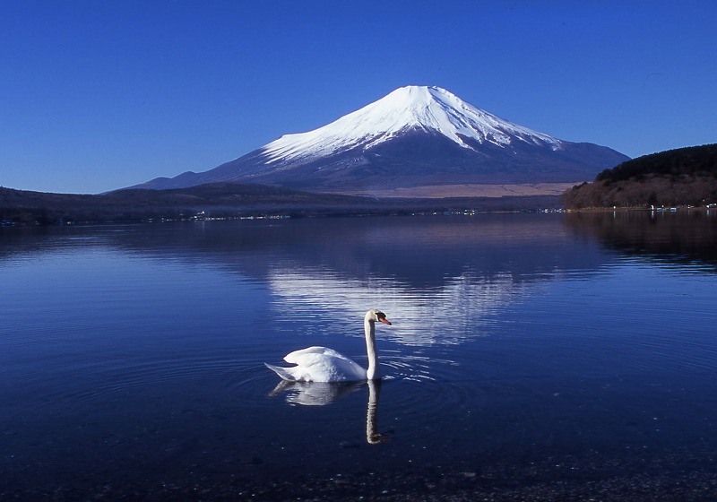 寮・社宅・保養所等の快適な居住空間のご提供について
