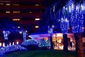 イルミネーション点灯式（マンションイベント）に参加しました！！