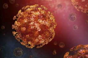 『新型コロナウイルス』について知っておきたいことをまとめました！