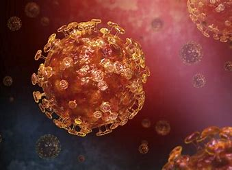 『新型コロナウイルス』について知っておきたいことをまとめました！