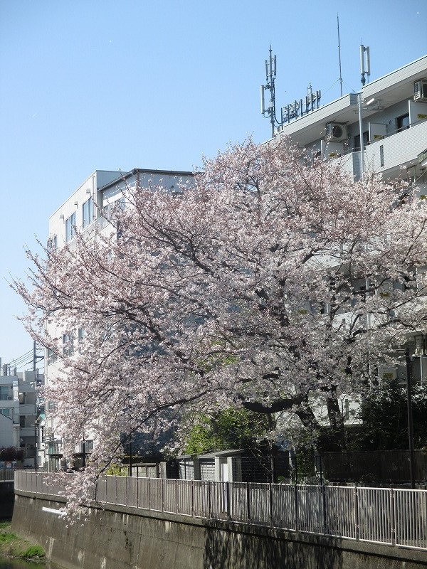 寮・社宅の新人管理人さん研修レポート