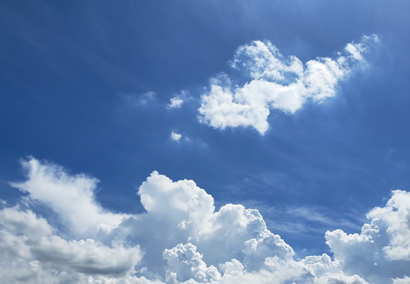 特定建築物定期調査とは？既存不適格について