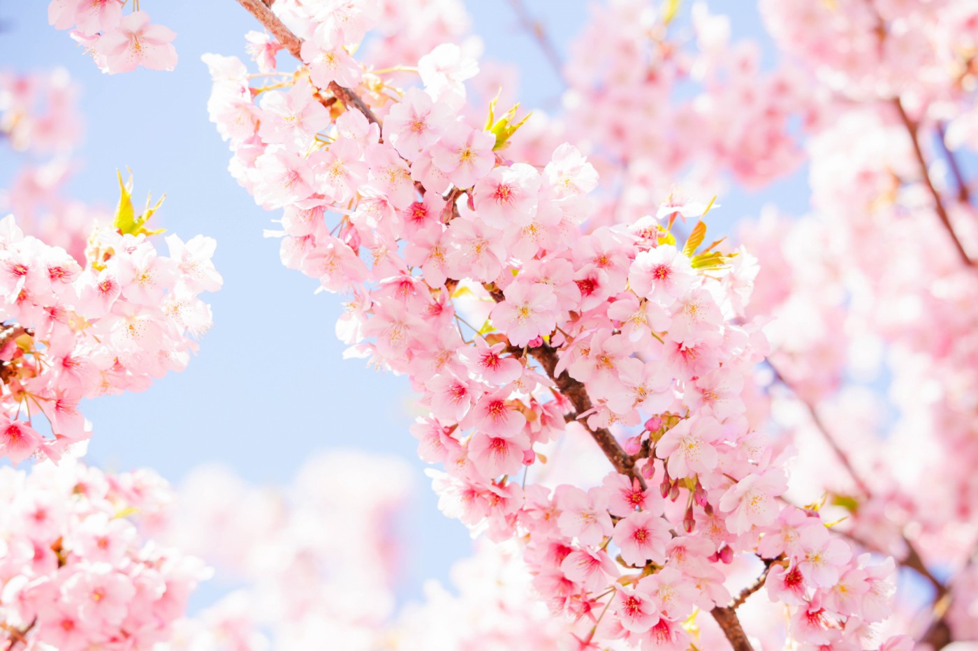 寮・社宅管理のオンリーワン営業を目指して！～新入社員奮闘記～