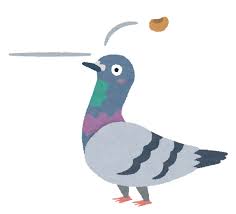 賃貸マンションの鳩（ハト）対策！