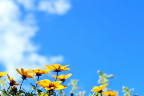 寮・社宅探訪記！夏バテ防止にぴったりのスタミナ料理をご紹介