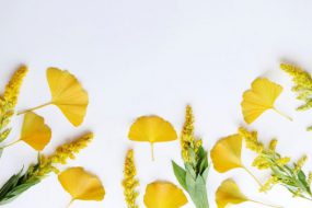 寮の食事をご紹介します！　★秋メニュー★