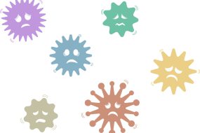 手洗い実験で正しい「手洗い」を身につけましょう！