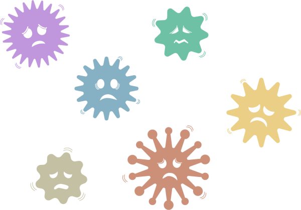 手洗い実験で正しい「手洗い」を身につけましょう! 手洗い実験で正しい「手洗い」を身につけましょう!