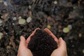 流行りのコンポストのご紹介～マンションでできるSDGs～