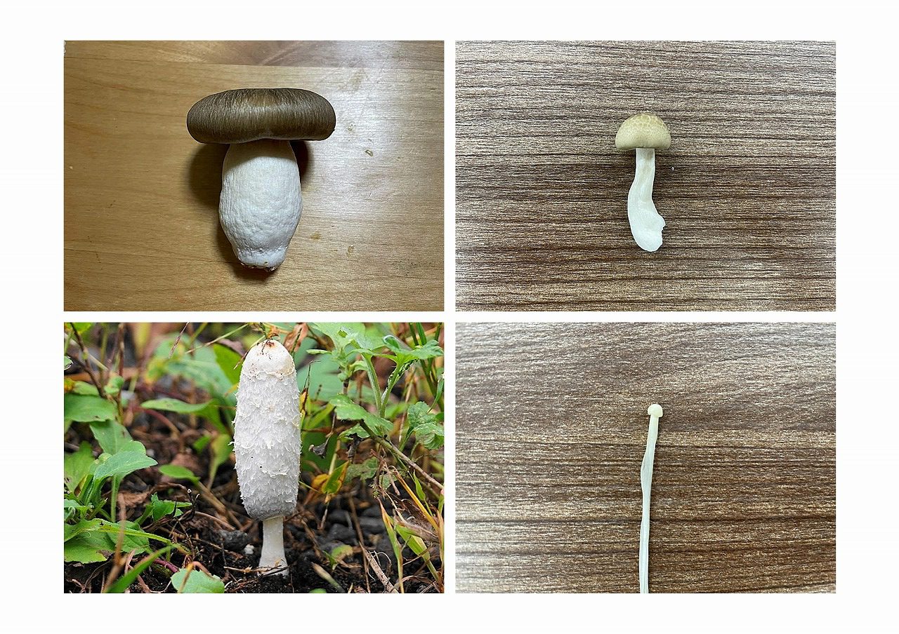 知っておきたいマンションの【屋上にあるキノコ】みたいなやつの正体