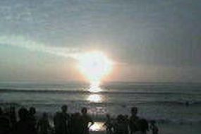 もっと考えてみよう。SDGSと脱プラスチック!