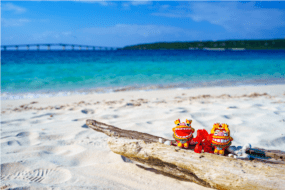 民泊の始め方！-Airbnbの繁忙期・閑散期はいつ？【後編】-