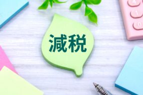 2024年6月 定額減税で4万円もらえるの？