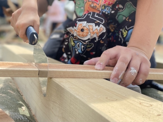 DIYするならどんな木を使えばいいの?国産材から木の性質を紹介 DIYするならどんな木を使えばいいの?国産材から木の性質を紹介