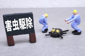 夏場に増える害虫とその対策について