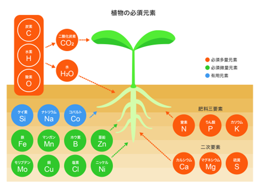 あなぶきが取り組むバイオエナジー事業 土壌改良材とは? あなぶきが取り組むバイオエナジー事業 土壌改良材とは?