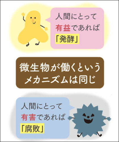 あなぶきが取り組むバイオエナジー事業　発酵との関係？