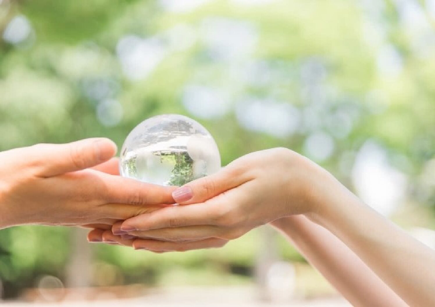 山林火災に大雪・・CO2排出削減できるのか？地球温暖化対策税